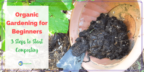 Trowel applying compost to a grape vine.