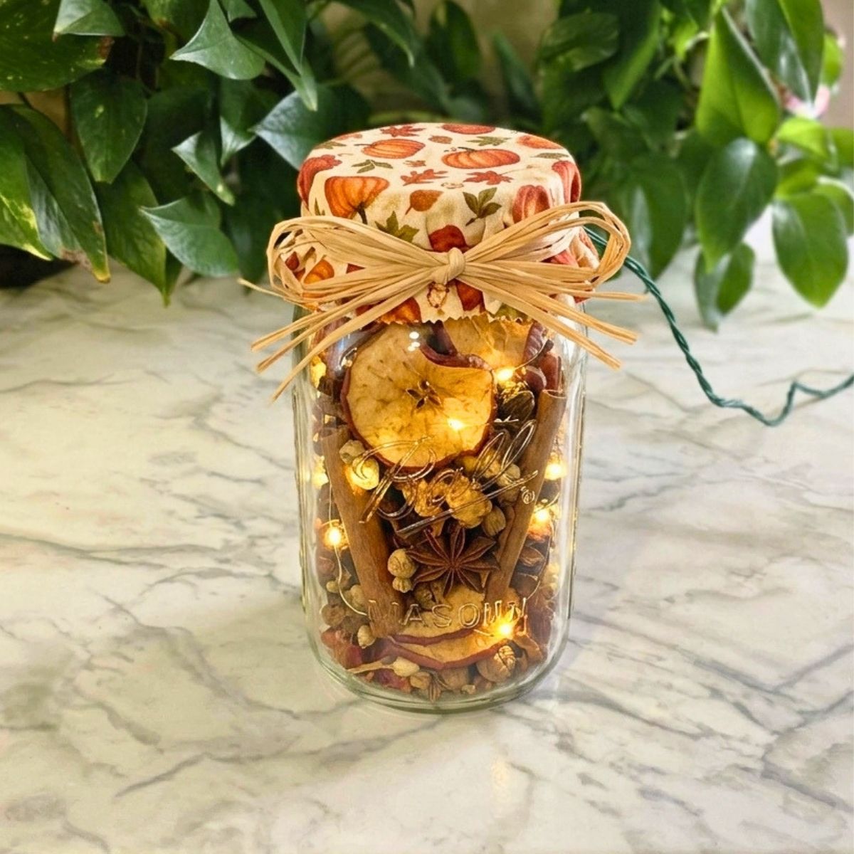 mason jar filled with potpourri and lights