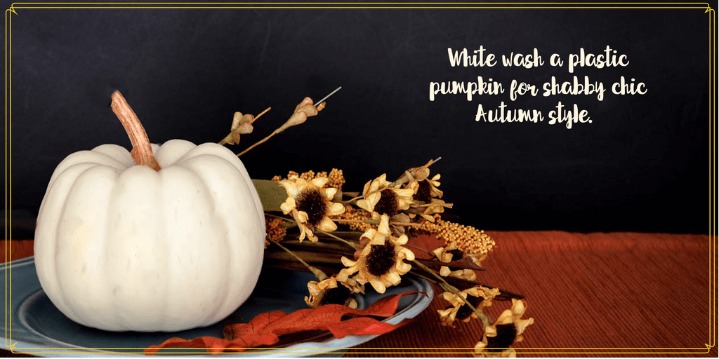 white pumpkin on a plate with flowers and text overlay "White-wash a pumpkin for shabby chic Autumn Style"
