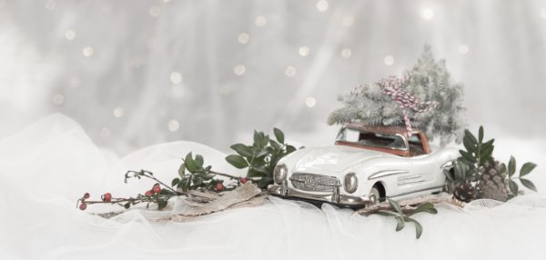 toy car with tree on top and greenery scene