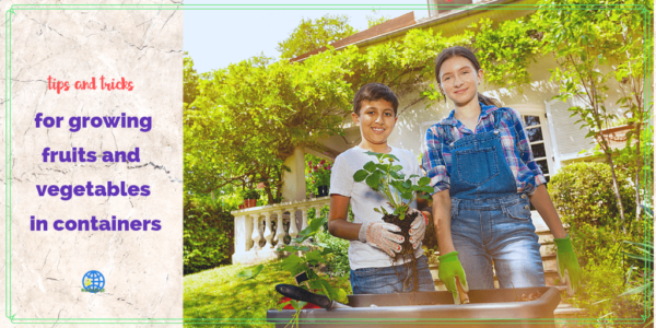 kids planting strawberries in a container