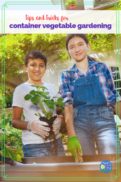 kids planting strawberries in a container