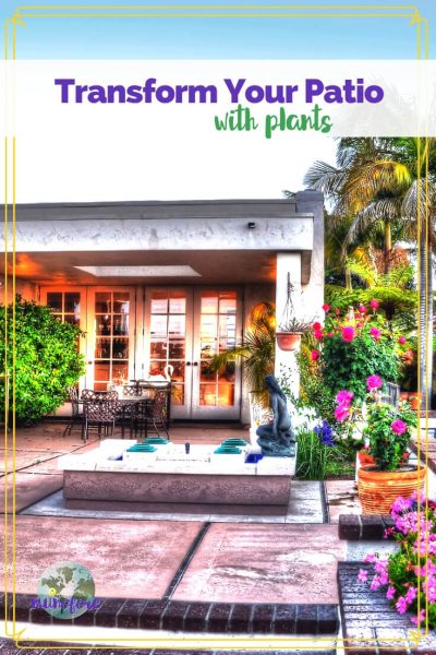 Photo of patio with text overlay "Transform Your Patio with Plants 