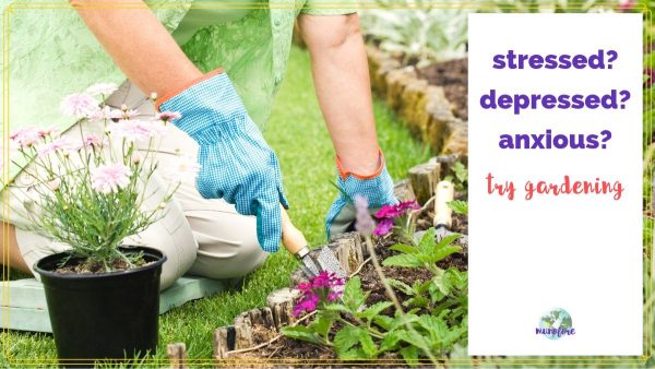 woman digging in garden with text overlay "stressed, depressed, anxious? try gardening"