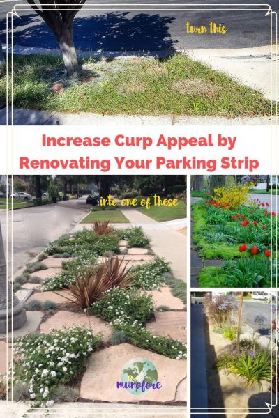 collage of parking strip photos with text overlay "Increase Curp Appeal by Renovating Your Parking Strip"