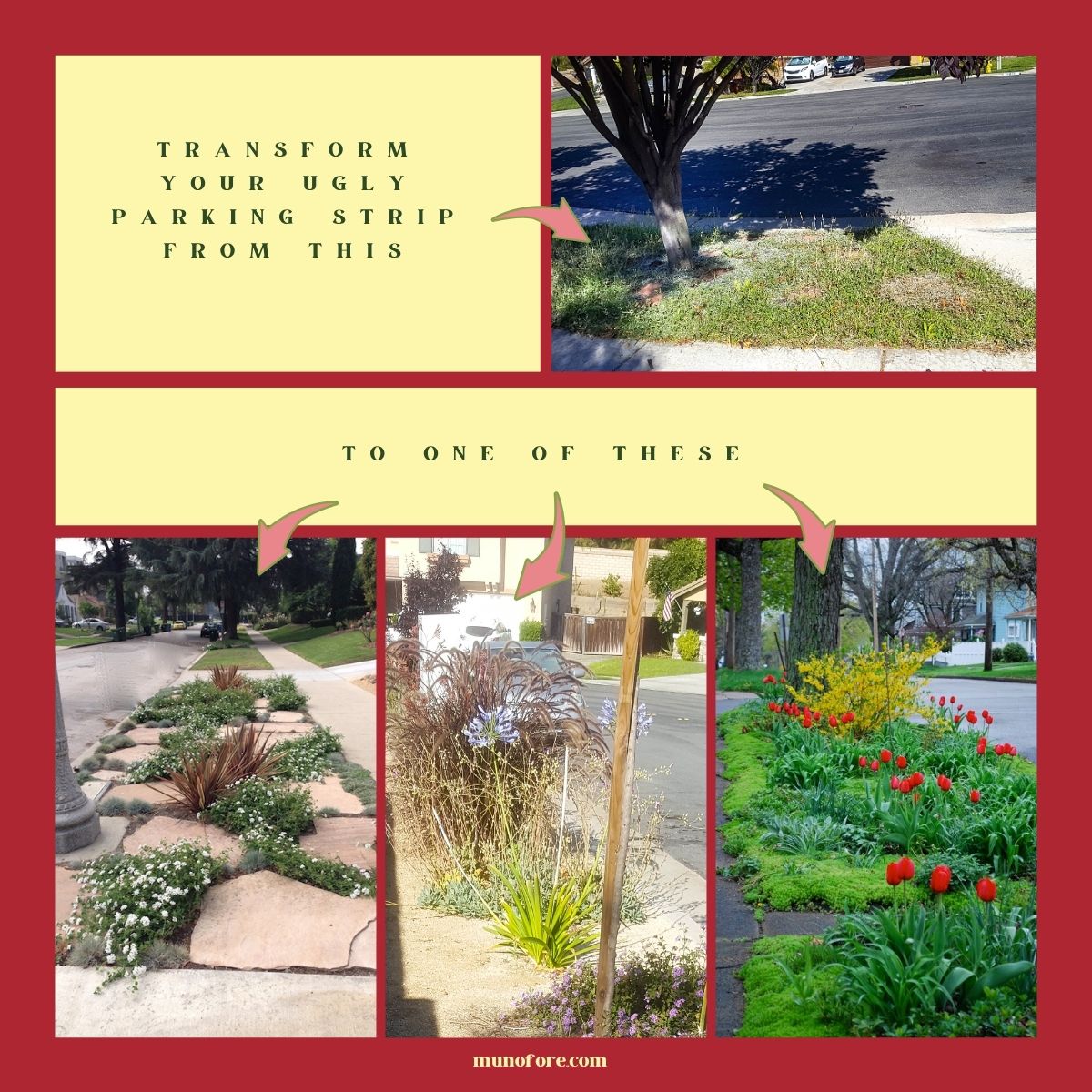 collage of parking strip photos