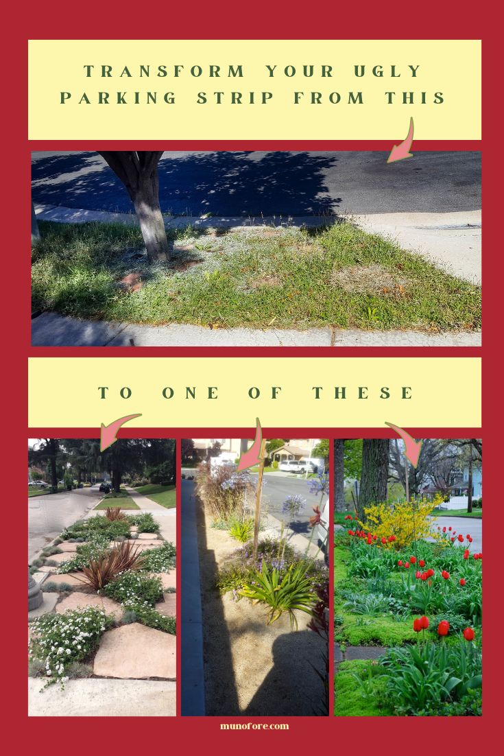 collage of parking strip photos