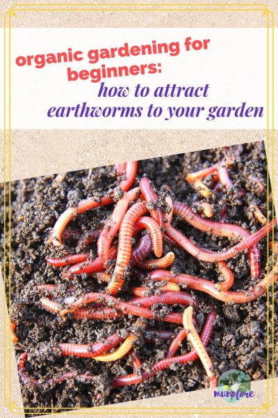 image of earthworms in garden soil with text overlay 