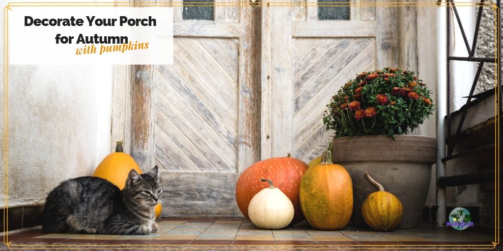 cat and pumpkins on a porch with text overlay "Decorate Your POrch for Autumn with pumpkins"