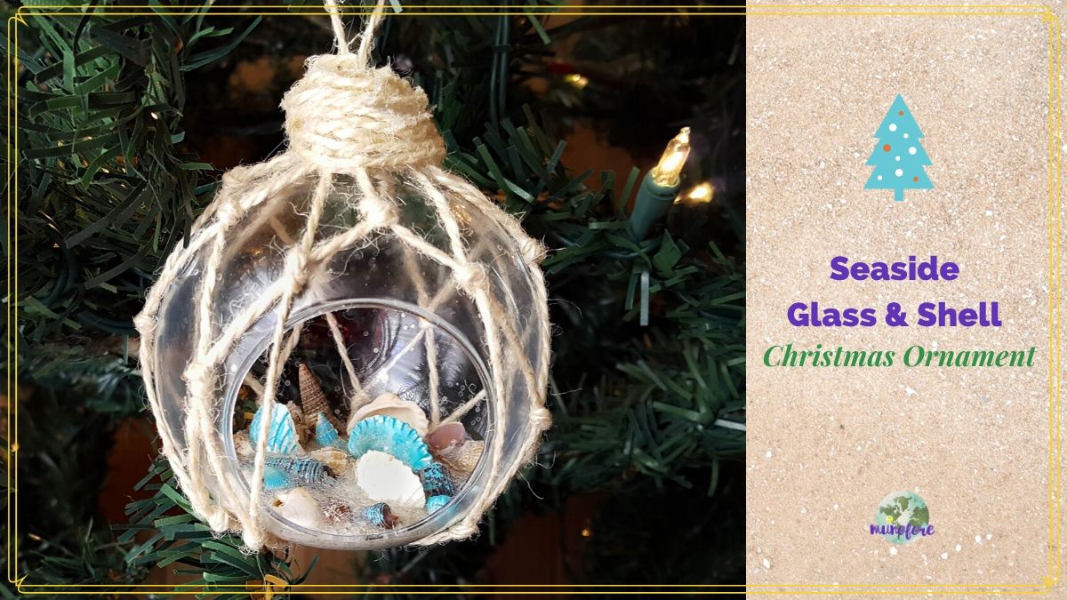 Seashell and Glass Christmas ornament