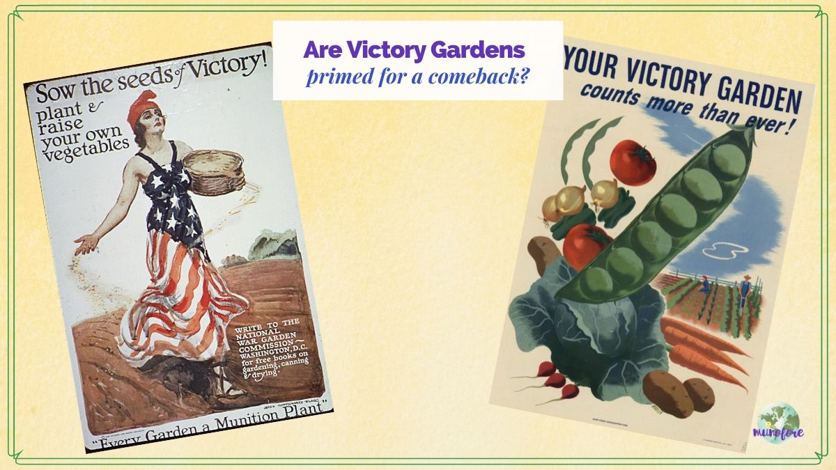 vintage Victory Garden posters with tixt overlay "Are Victory Gardens Primed for a Comeback?"