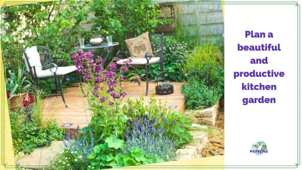 patio kitchen garden with text overlay "how to plan a kitchen garden"