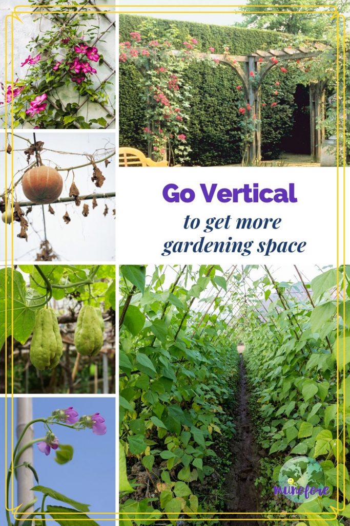 collage of plants growing vertically