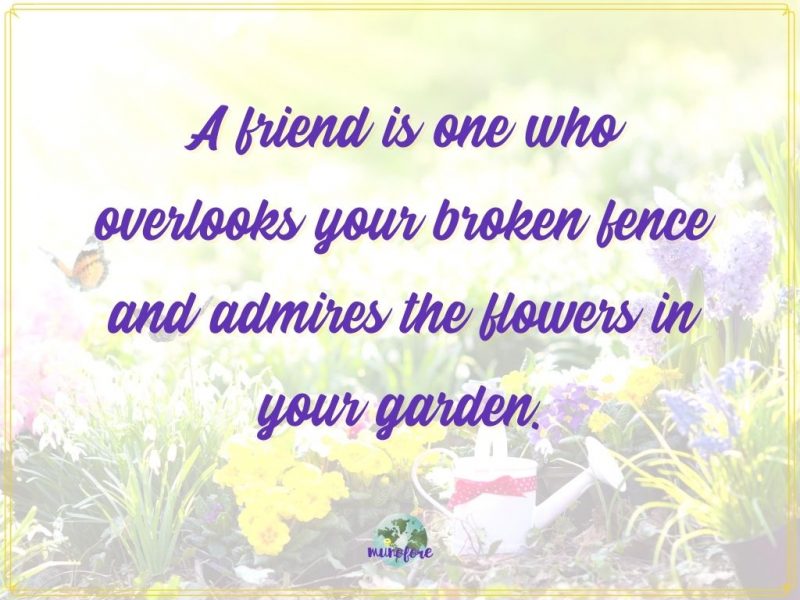 "A friend is one who overlooks your broken fence and admires the flowers in your garden" quote on image of flower garden