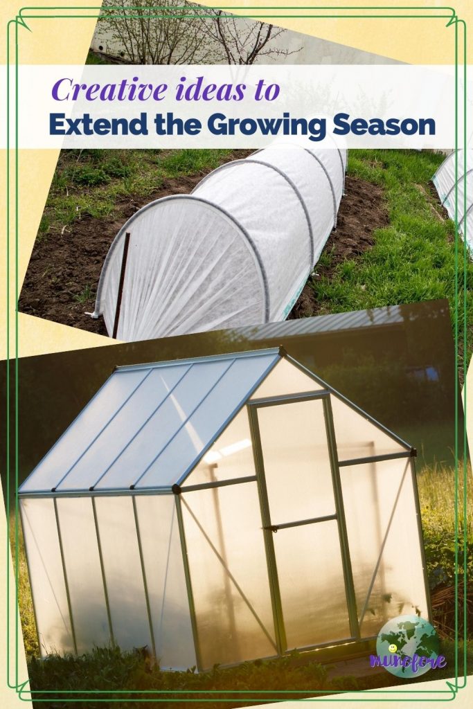 collage of greenhouse and cold frames and text overlays "cretive ideas to extend the growing season"