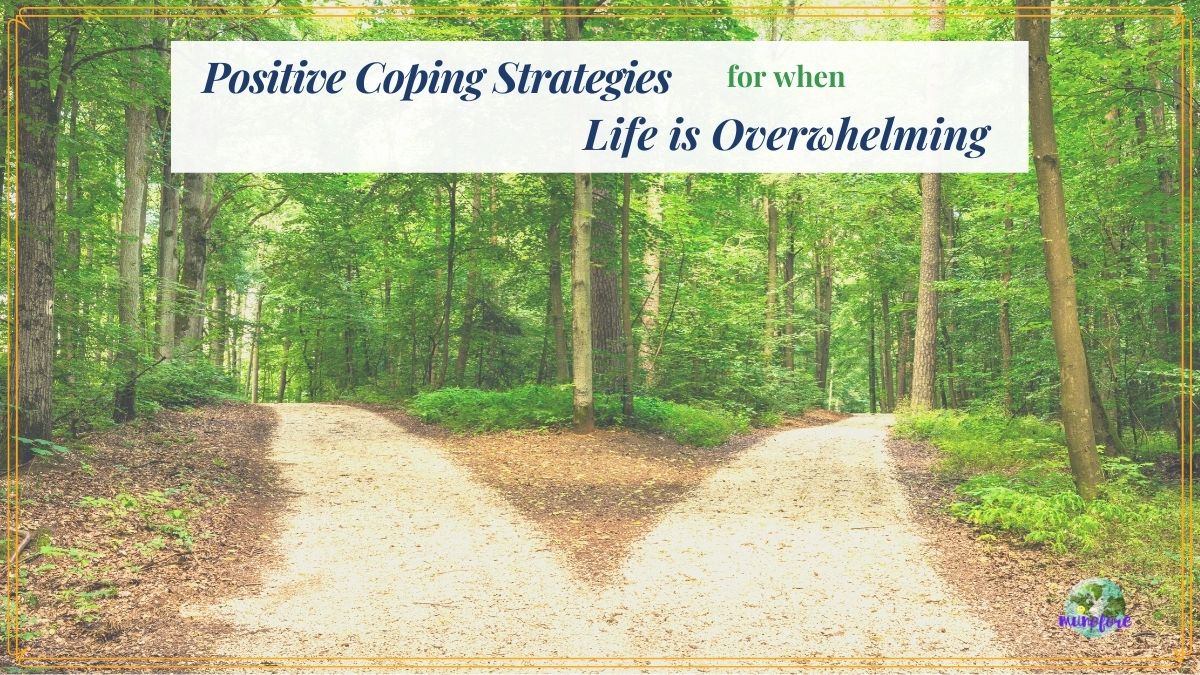 two paths in the woods with text overlay "Coping Strategies for when Life is Overwhelming"
