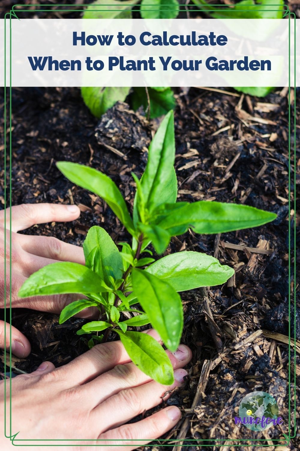 How To Calculate When To Plant In Your Area Munofore How To Calculate When To Plant In Your Area Munofore