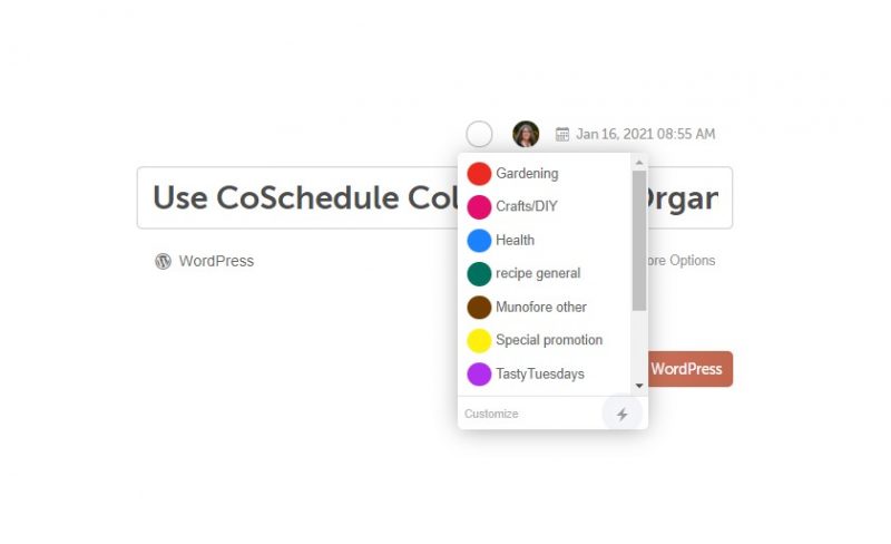 screenshot of coschedule calendar