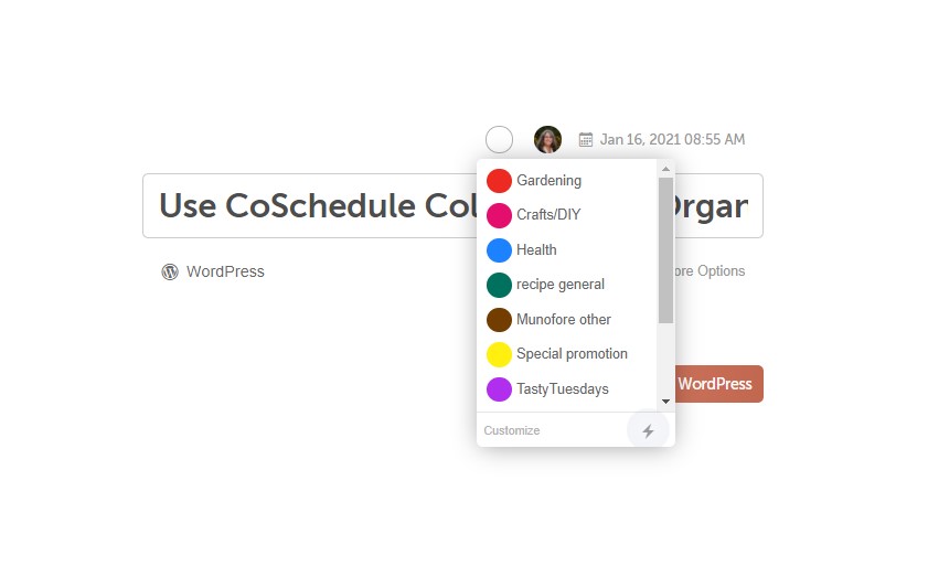 Use Colors in CoSchedule Marketing Calendar to Stay Organized Munofore