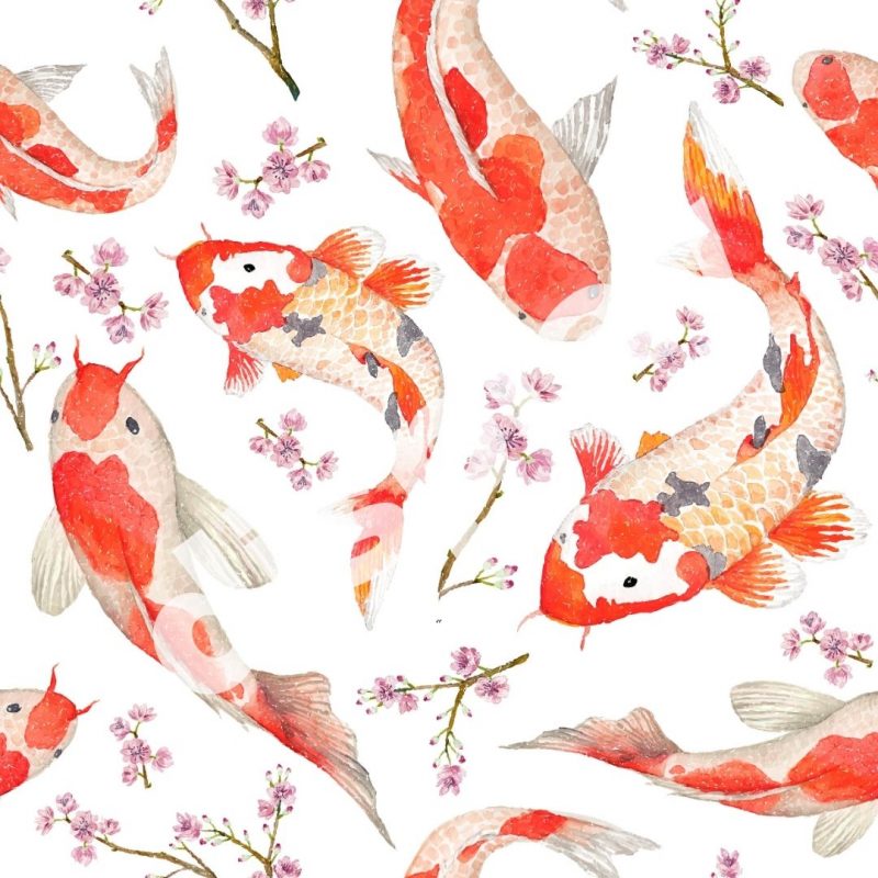 display image of koi