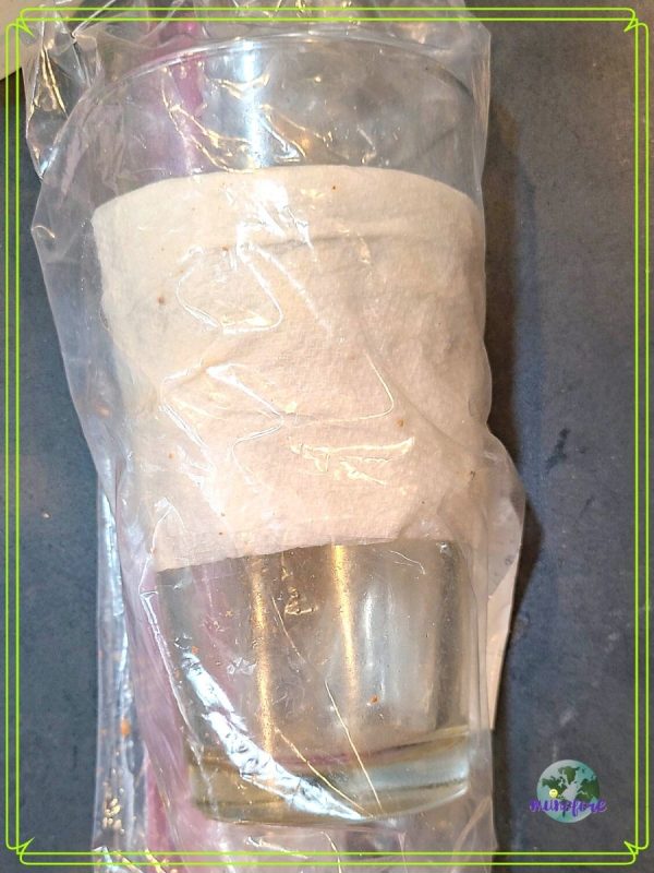 glass wrapped in paper towel inside zip to lock bag