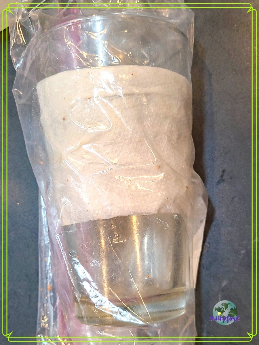 Easily Remove Paint from Glassware Munofore