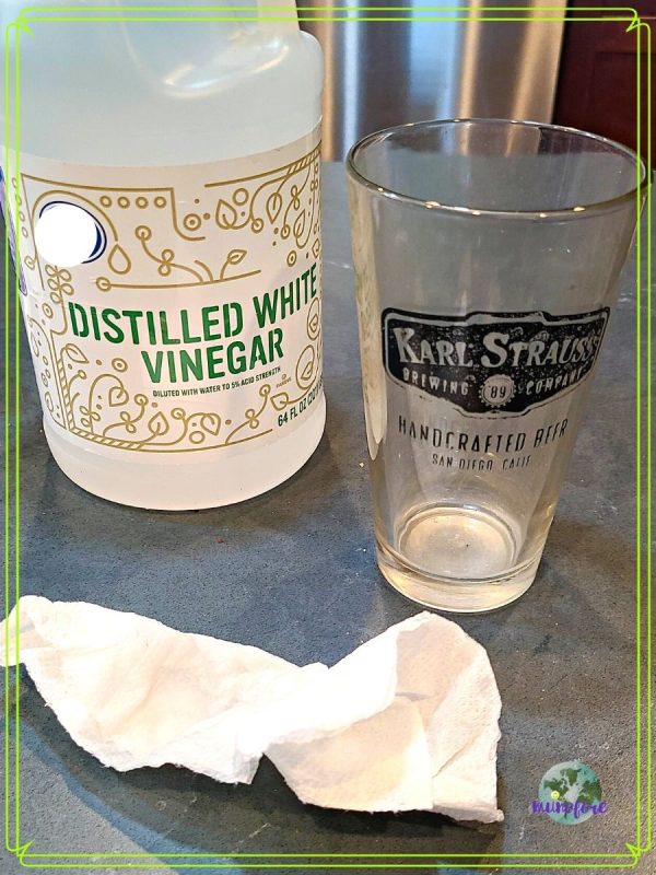 bottle of distilled vinegar paper towel and glass with painted logo