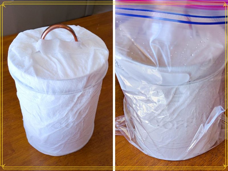 canister wrapped in vinegar soaked paper towels 
