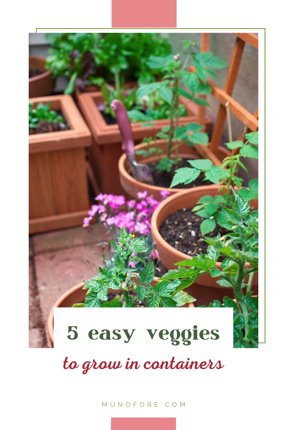 plants in garden pots