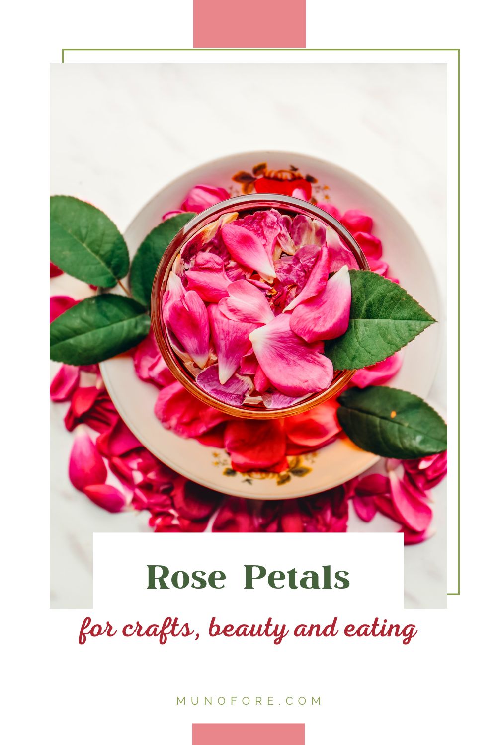rose petals in a bowl